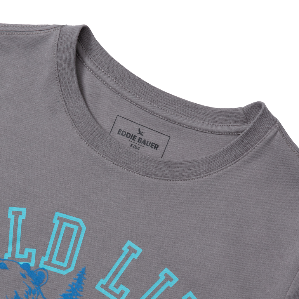 Boys Short Sleeve Graphic T-Shirt