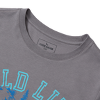 Boys Short Sleeve Graphic T-Shirt