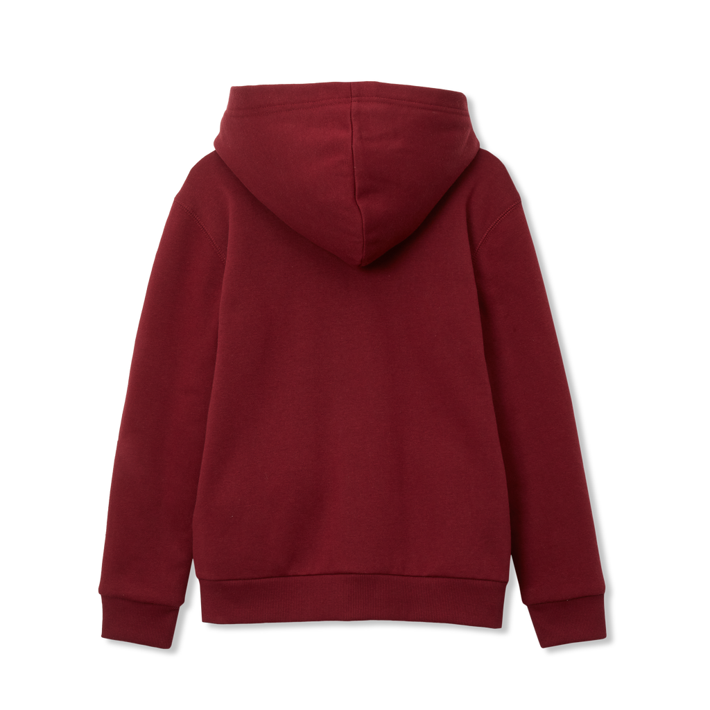 Boys Camp Fleece Faux Shearling-Lined Hoodie