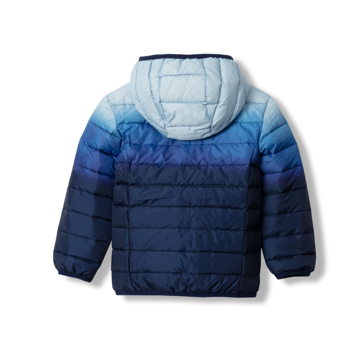Toddler Cirruslite Down Hooded Jacket