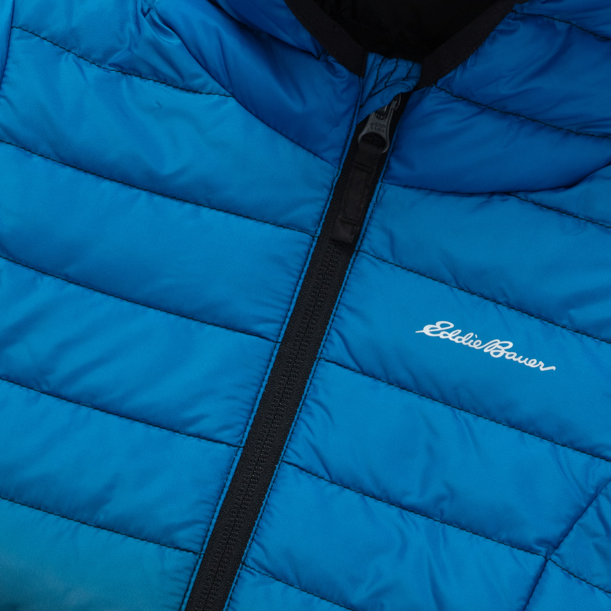 Toddler Cirruslite Down Hooded Jacket